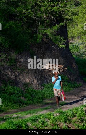 Cap-Vert, île de Santiago, femmes portant du bois sur sa tête. Banque D'Images