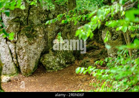 Vestiges du château de la ruine Alt-Lichtenstein, au large du château de Lichtenstein, sur la crête d'Alb au-dessus du village de Honau, Swabian Alb, Allemagne. Banque D'Images