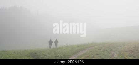 Silhouettes de deux marcheurs nordiques marchant dans un épais brouillard sur faucher l'herbe ensemble Banque D'Images
