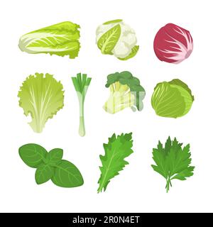 Ensemble salade et choux Illustration de Vecteur
