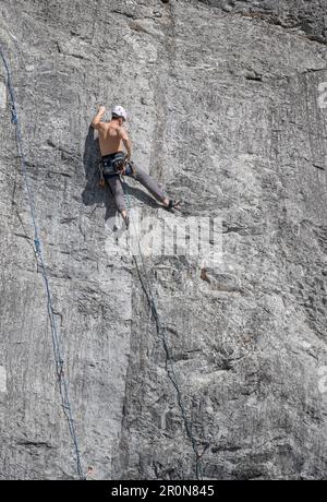 Parc national Banff, Alberta, Canada – 06 mai 2023 : un seul grimpeur de roche mâle monte un visage de roche Banque D'Images