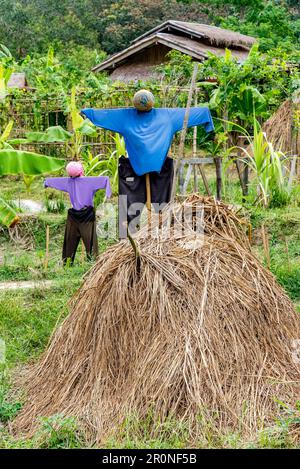 Les supports Scarecrow protègent le champ. Banque D'Images