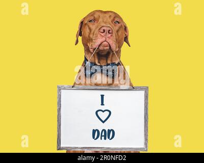 Bonne journée des pères. Mignon chiot brun. Gros plan Banque D'Images