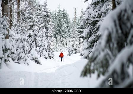 Randonnée en raquettes dans le Haut-Harz, Allemagne Banque D'Images