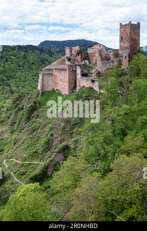 Vue sur le château en ruines de St. Ulrich près de Ribeauville, Haut-Rhin, Grand est, Alsace, France, Europe Banque D'Images