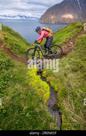 Islande, route, mi-été nuit, VTT, fjord, piste unique, vélo électronique Banque D'Images