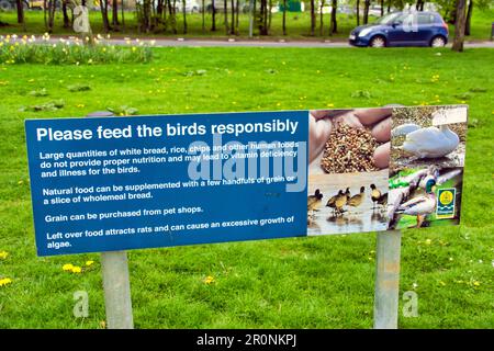 please feed the birds responsibly park warning sign Stock Photo