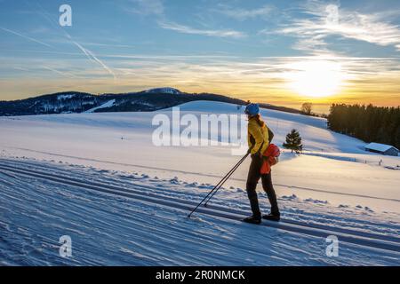 Femme ski de fond donne sur le coucher du soleil, piste de ski de Schonach-Belchen, Forêt Noire, Bade-Wurtemberg, Allemagne Banque D'Images