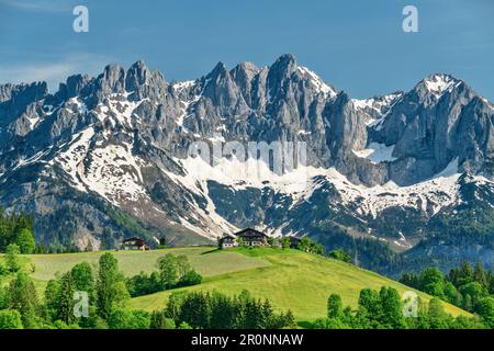 La ferme se trouve en face des montagnes Kaiser, des montagnes Kaiser, Wilder Kaiser, Tyrol, Autriche Banque D'Images