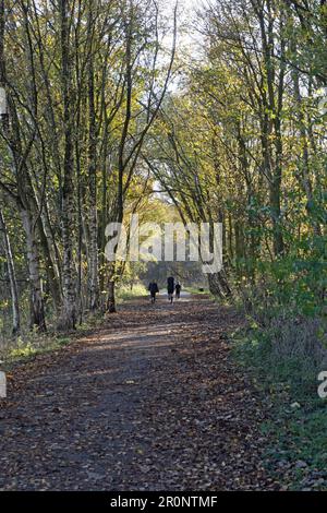 Le tramway du canal de Lancaster est maintenant un sentier qui relie le pont Bamber et la rivière Ribble à Preston Lancashire Banque D'Images