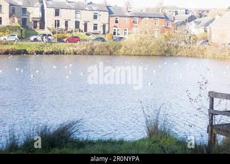 Réservoir Brinscanl Brinscanl près de Chorley Lancashire Angleterre Banque D'Images