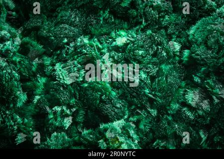 Malachite. arrière-plan de texture de détail de macro verte. gros plan brut brut non poli semi-précieuse pierre Banque D'Images