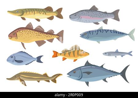 Ensemble de poissons d'eau de mer et d'eau douce Illustration de Vecteur