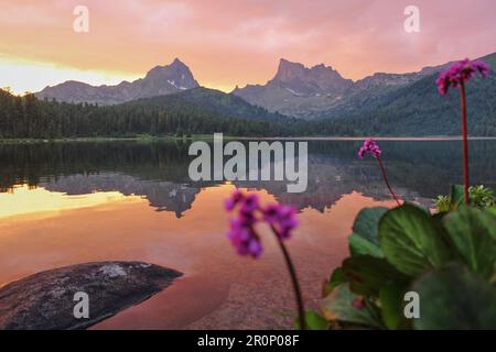 Magnifique paysage avec de hautes falaises et des pics pointus, des pierres et des fleurs sur un lac de montagne Shore, reflet, ciel rose et lumière du soleil jaune au coucher du soleil. Banque D'Images