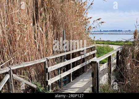 Réserve naturelle dans le Parc régional Molentargius Saline près de Cagliari, Sardaigne, Italie 2022 DÉCEMBRE ITALIE. Banque D'Images