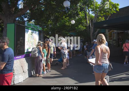 San Diego, Californie, États-Unis - 09-23-2021: Une vue des clients examinant la carte d'entrée du zoo de San Diego. Banque D'Images