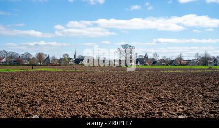 Paysage rural près de Bronckhorst, pays-Bas Banque D'Images