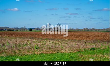 Paysage rural près de Bronckhorst, pays-Bas Banque D'Images