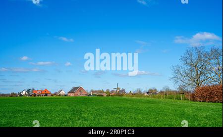 Paysage rural près de Bronckhorst, pays-Bas Banque D'Images