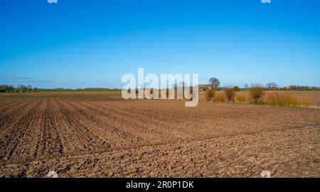 Paysage rural près de Bronckhorst, pays-Bas Banque D'Images