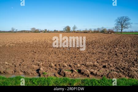 Paysage rural près de Bronckhorst, pays-Bas Banque D'Images