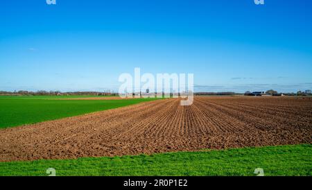 Paysage rural près de Bronckhorst, pays-Bas Banque D'Images