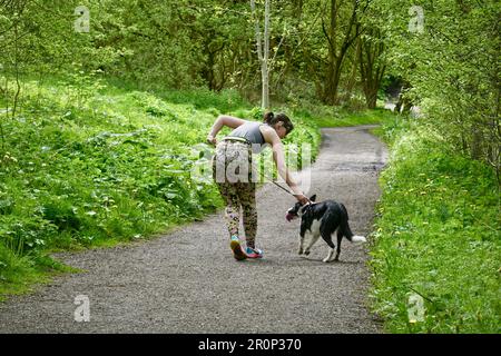 Une jogging femelle s'occupe de son chien sur le Sett Valley Trail, dans le Derbyshire Banque D'Images