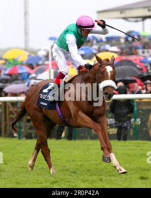 Photo du dossier datée du 06-05-2023, de Chaldéen, monté par le jockey Frankie Dettori, gagnant les enjeux Qipco 2000 guinéens. Le vainqueur de Qipco 2000 guinéas Chaldean a pris ses efforts à Newmarket samedi à sa foulée, selon des connexions. Date de publication : mardi 9 mai 2023. Banque D'Images