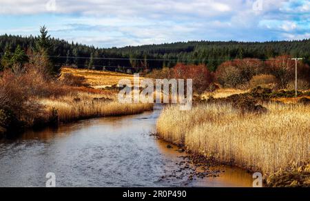 Un ruisseau tranquille qui traverse un paysage stérile avec de grandes roseaux à l'île de Skye, en Écosse, au Royaume-Uni Banque D'Images