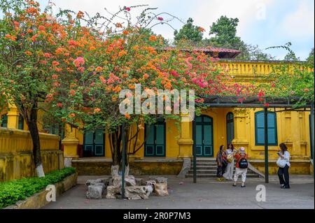 Les touristes locaux posant et prenant des photos parmi les arbres en pleine fleur à la Citadelle impériale de Thang long à Hanoi, Vietnam. Banque D'Images