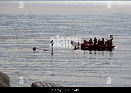 SIDMOUTH, DEVON, Royaume-Uni - 23 AVRIL 2017 Sidmouth Lifeboat Pract Drill sauvetage paddle Boarder sur une mer calme et morte Banque D'Images