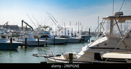 PORT ARANSAS, TX - 22 FÉV 2023: La marina avec plusieurs bateaux de pêche White Sport ou yacht aux quais en bois, le jour le plus ensoleillé. Banque D'Images