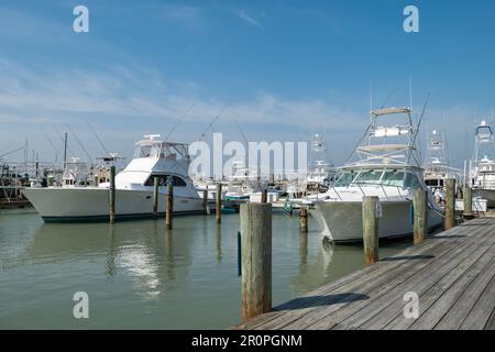 PORT ARANSAS, TX - 22 FÉV 2023: Plusieurs bateaux de pêche de sport blanc ou yacht aux quais en bois de la marina, sur une journée ensoleillée. Banque D'Images