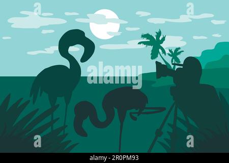 Photographe photographies flamants dans la nature. Illustration avec photo debout et chasseur vidéo avec caméra et deux flamants sur paysage tropical avec esprit Illustration de Vecteur