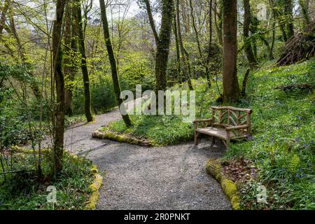 PLAS Cadnant Hidden Gardens un beau jardin à Menai Bridge, Anglesey, au nord du pays de Galles. Ouvert au public régulièrement, il est plein d'intérêt. Banque D'Images