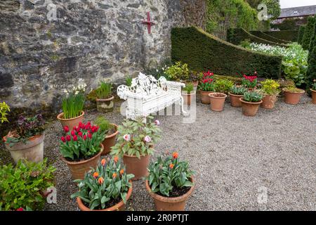 PLAS Cadnant Hidden Gardens un beau jardin à Menai Bridge, Anglesey, au nord du pays de Galles. Ouvert au public régulièrement, il est plein d'intérêt. Banque D'Images