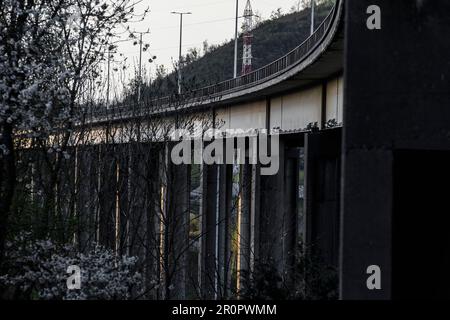 Sous l'anneau 3, appelé le Viaduc de Chatelet, vue sur les pilars en acier et béton - arbre de fleurs | vue du Viaduc de Chatelet, cette poprti Banque D'Images