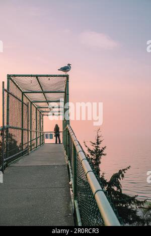 seagull et femme sur la passerelle verte du pont supérieur avec ciel rose clair face à l'eau, Carkeek Park à Seattle Banque D'Images