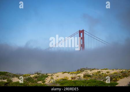 Le Golden Gate Bridge a été enveloppé de brouillard photographié depuis la plage du Golden Gate à San Fransisco, Californie, États-Unis Banque D'Images