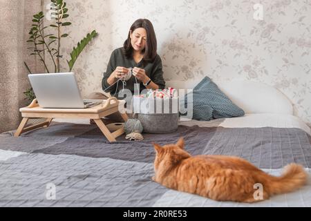Ginger Cat regarde comment la femme fait du crocheting tout en regardant un film sur un ordinateur portable. Apprenez à coudre à partir de leçons vidéo sur Internet. Maison confortable et passe-temps anti stress Banque D'Images