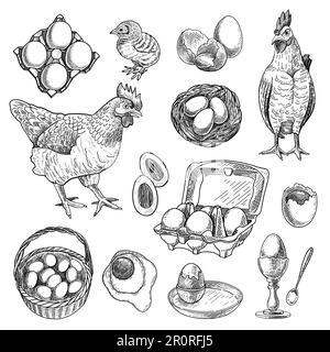 Ensemble de croquis de produits agricoles de poulet Illustration de Vecteur