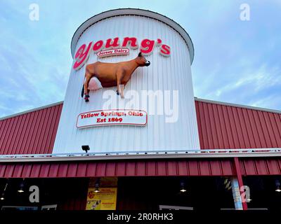 Young's Jersey Dairy est un point de repère local populaire près du village de Yellow Springs, Ohio (États-Unis) connu pour sa crème glacée et d'autres aliments frais. Banque D'Images