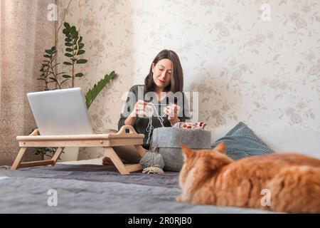 Ginger Cat regarde comment la femme fait du crocheting tout en regardant un film sur un ordinateur portable. Apprenez à coudre à partir de leçons vidéo sur Internet. Maison confortable et passe-temps anti stress Banque D'Images