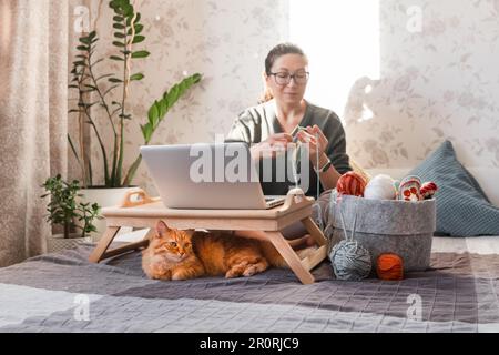 Ginger Cat regarde comment la femme fait du crocheting tout en regardant un film sur un ordinateur portable. Apprenez à coudre à partir de leçons vidéo sur Internet. Maison confortable et passe-temps anti stress Banque D'Images
