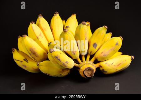 Deux bunches de bananes, deux bunches de bananes thaïlandaises, ont cultivé la banane isolée sur un fond noir.Banana isolée sur un fond noir.copie espace Banque D'Images