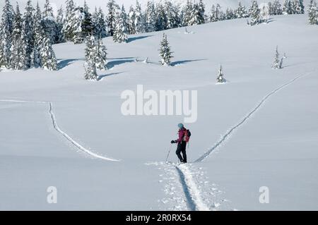 Une femme de l'arrière-pays skiant sous Broken Top Mountain dans le centre de l'Oregon. Banque D'Images