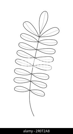 Branche végétale, vecteur de feuilles. Branches d'arbre vintage dessinées à la main avec des feuilles et des fleurs Illustration de Vecteur