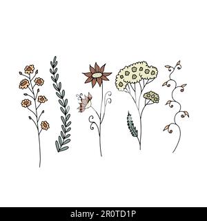 Jeu d'illustrations de fleurs sauvages dessinées à la main isolées sur fond blanc. Gribouillages fleuris minimalistes Illustration de Vecteur