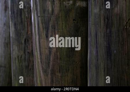 gros plan du grain de bois sur des poteaux ronds en bois Banque D'Images