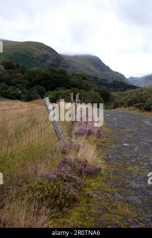 Nant Peris, vallée de Snowdonia et montagne ciel nuageux, clôture barbelée, bruyère pourpre et route Banque D'Images